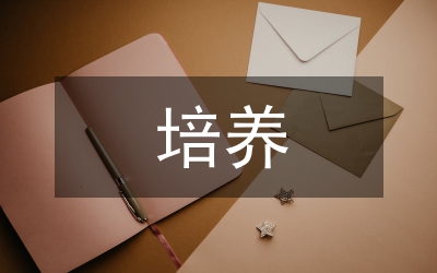 價值觀的培養(yǎng)