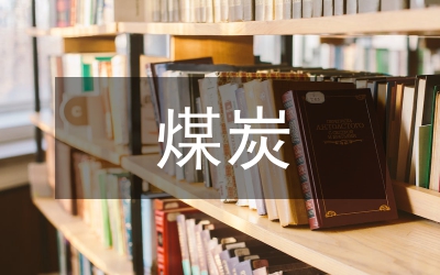 煤炭企業(yè)稅務(wù)風(fēng)險研究
