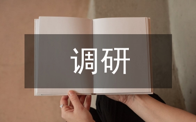 調(diào)研報(bào)告