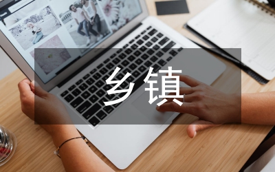 鄉(xiāng)鎮(zhèn)現(xiàn)狀調(diào)研報告