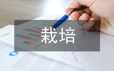 上海菘藍(lán)引種栽培初探