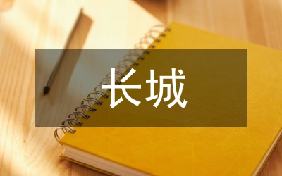 長城汽車財(cái)務(wù)報(bào)表戰(zhàn)略決策及發(fā)展建議