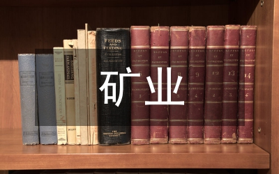 礦業(yè)資金安全預(yù)警體系的建設(shè)