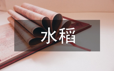 水稻種子處理工作意見
