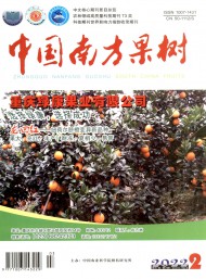 中國(guó)南方果樹(shù)